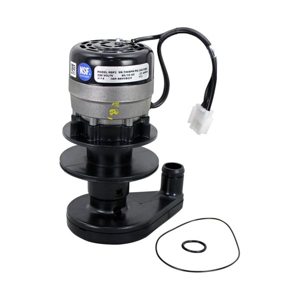 Water Pump  - 230V/60Hz